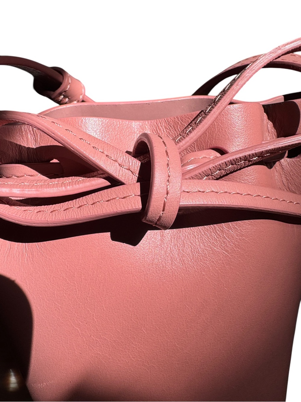 Mansur Gavriel Red Leather Mini Bucket Crossbody - Picture 14 of 15
